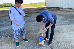 愛犬と一緒にマンツーマンレッスンをしている画像