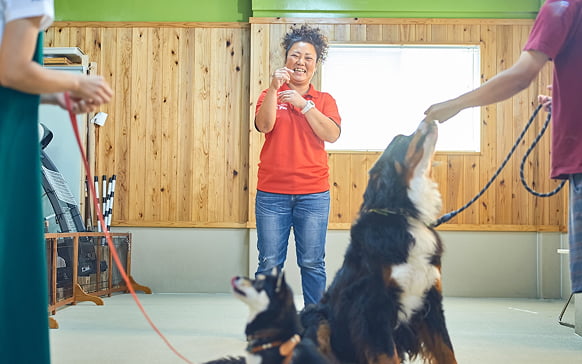 フィールファンのドッグトレーニング風景画像