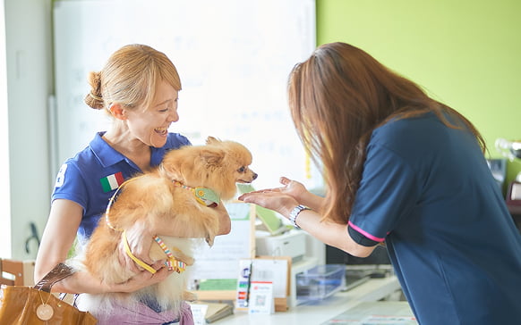 フィールファンに通うお客様と愛犬の画像