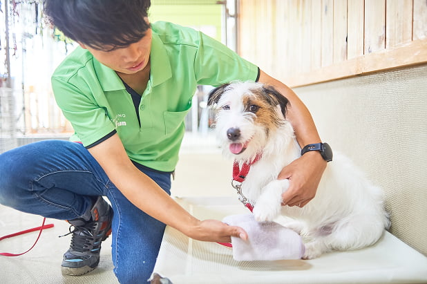 フィールファンの理念イメージ画像