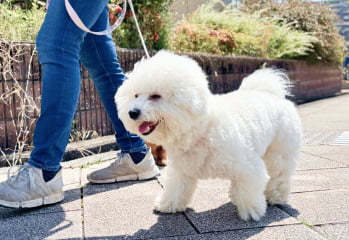 フィールファンの理念イメージ画像