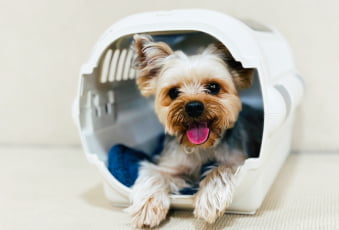 フィールファンの理念イメージ画像