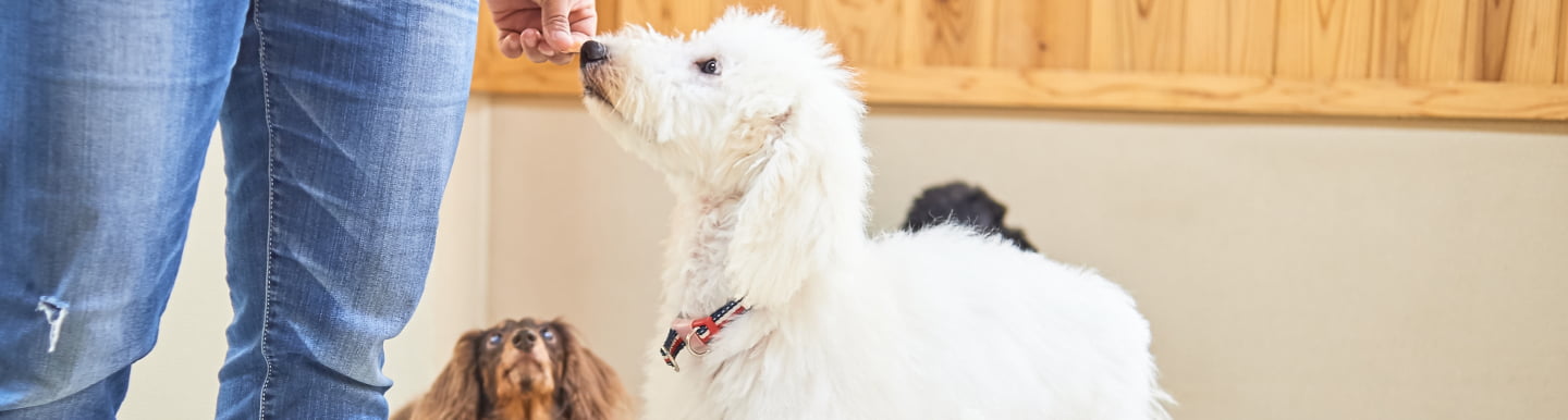 お問い合わせページのメインビジュアル