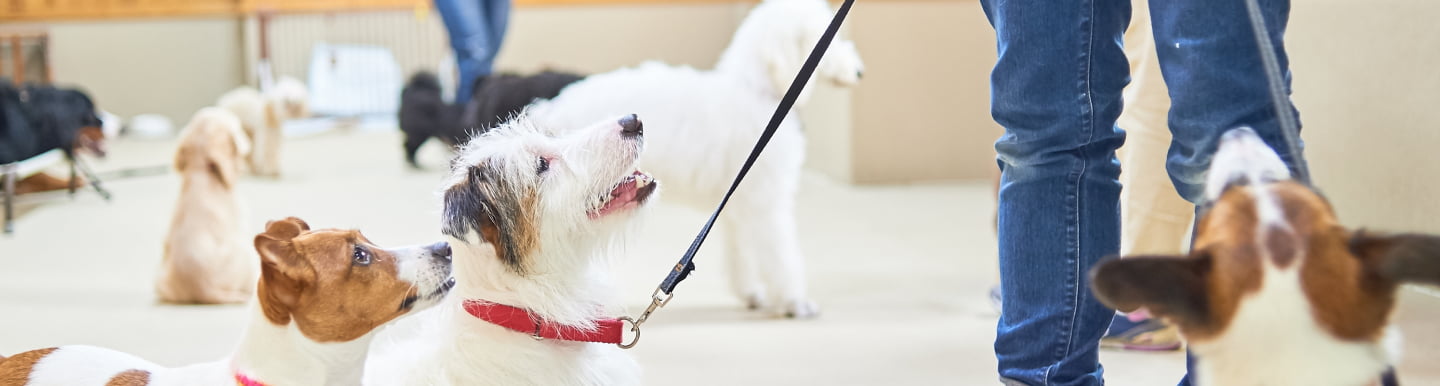 カウンセリングのメインビジュアル