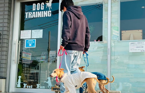 トレーニングのため登校する犬の画像