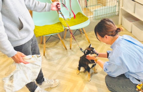 お迎えに来た飼い主さまと愛犬の画像