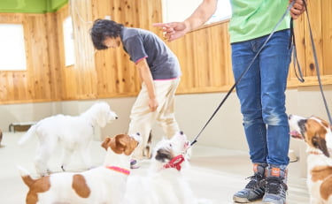 デイトレーニングのレッスン風景の画像