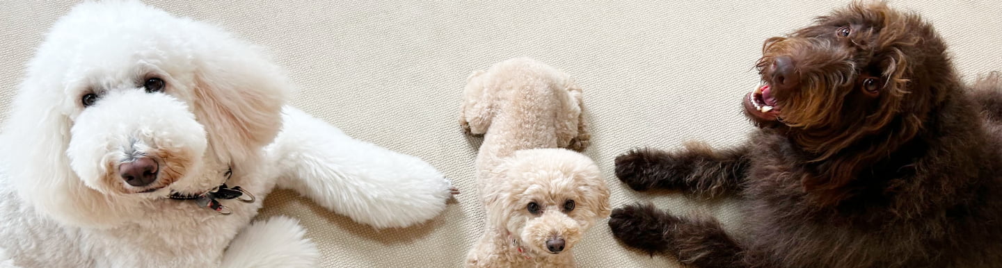 フィールファン店舗情報のメインビジュアル