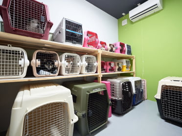 フィールファン施設内の画像