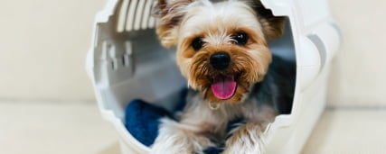 集中トレーニングの風景画像