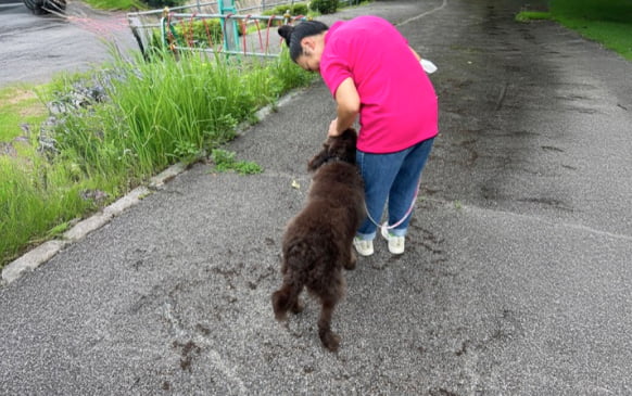 問題行動の改善トレーニングの風景画像