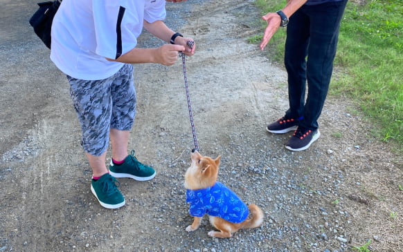 飼い主さまと一緒のレッスン風景画像