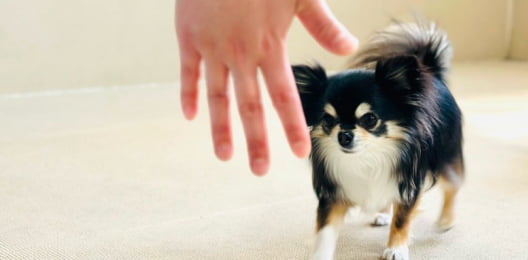 フィールファンの施設でのレッスン風景画像