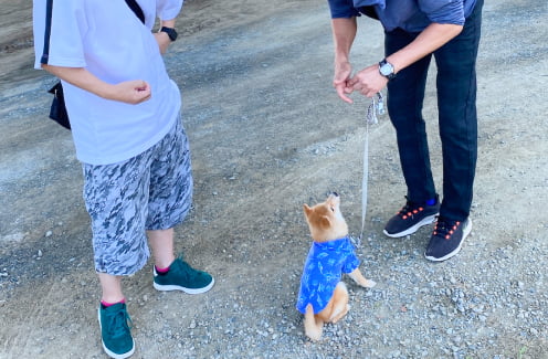 実践重視のレッスン風景画像