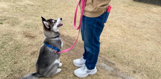 出張レッスン風景画像