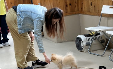 子犬しつけ教室の風景画像