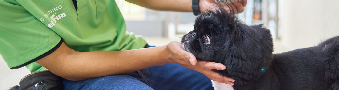 フィールファン採用情報のメインビジュアル