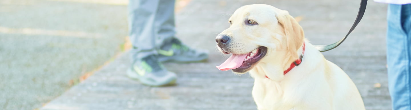 サービス案内ページのメインビジュアル