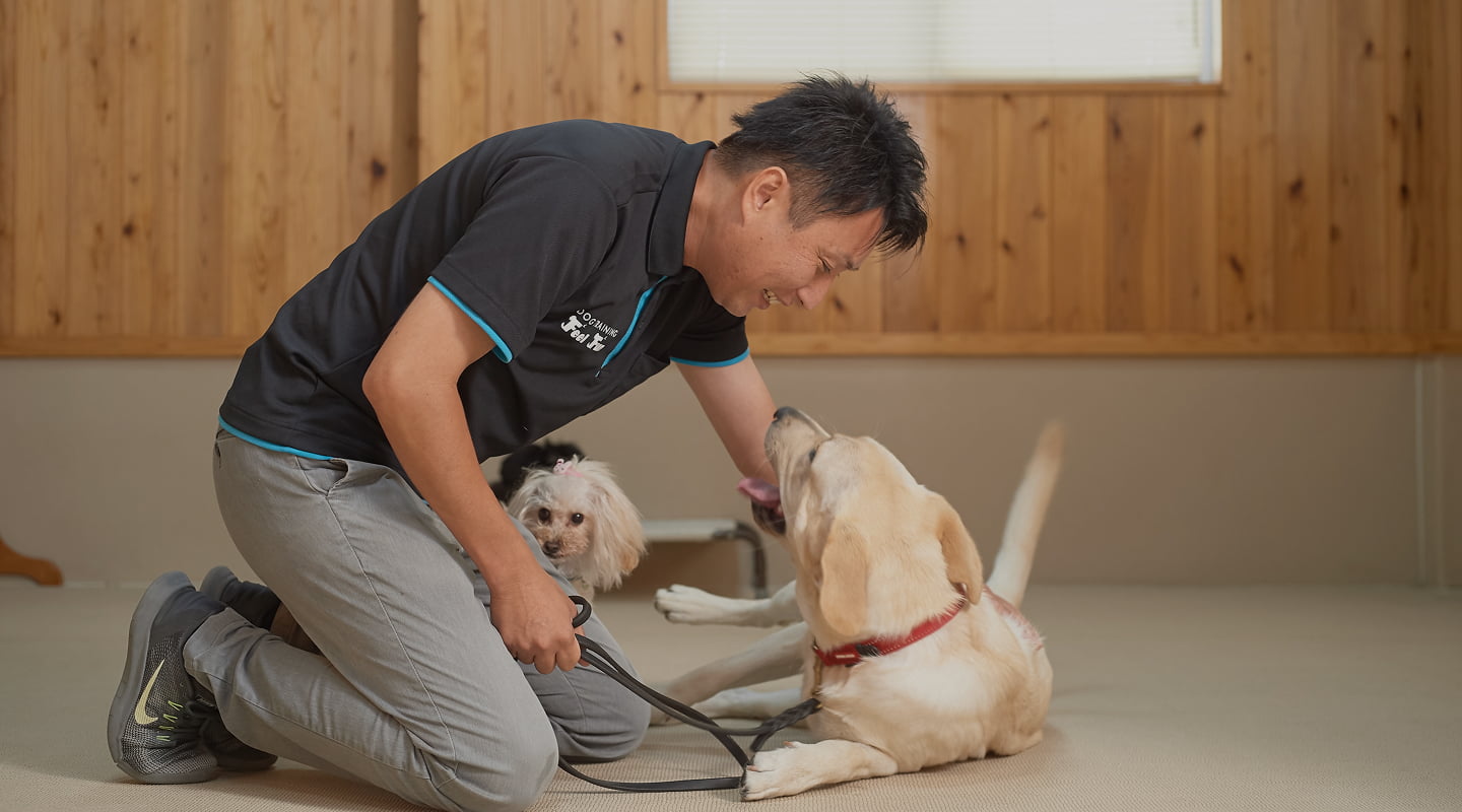 大阪府箕面市のドッグトレーニングFeelfunのメインビジュアル