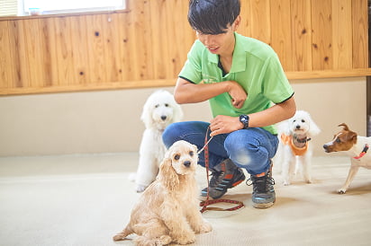 フィールファンのデイトレーニングの画像