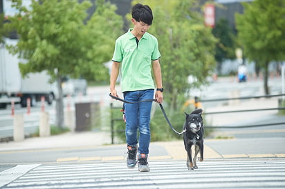 フィールファンのプライベートレッスンの画像