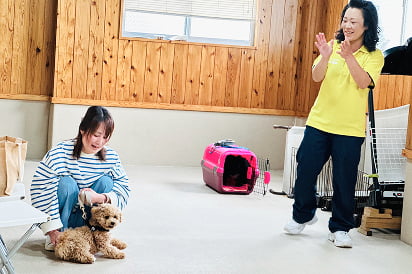 フィールファンの子犬しつけ教室の画像