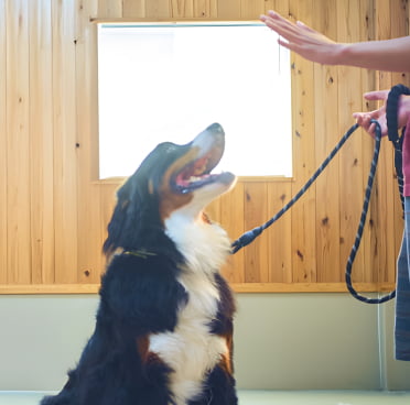 トレーニングの現場風景画像