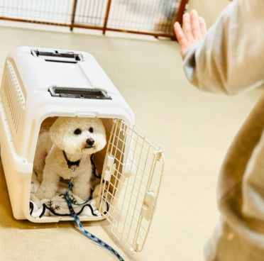 トレーニングの現場風景画像