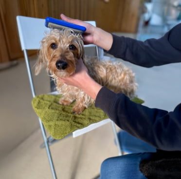 トレーニングの現場風景画像