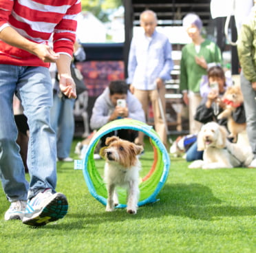 フィールファンのイベント時の画像