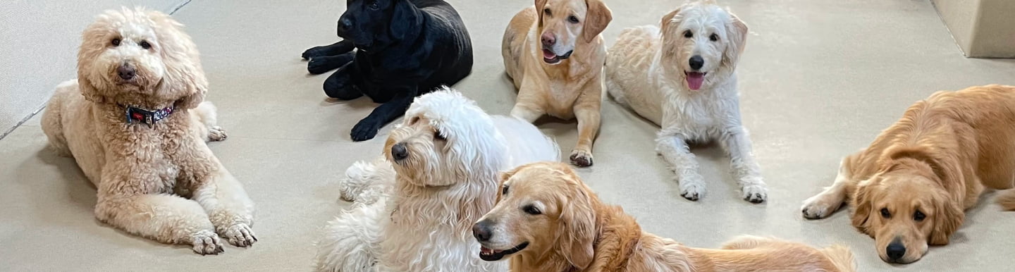 トレーナー紹介のメインビジュアル