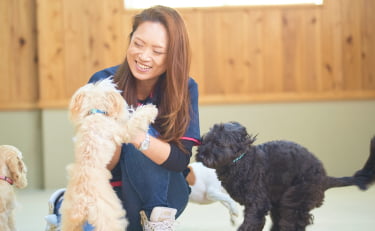 犬と交流するフィールファンのスタッフ画像