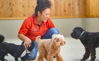 犬と交流するフィールファンのスタッフ画像
