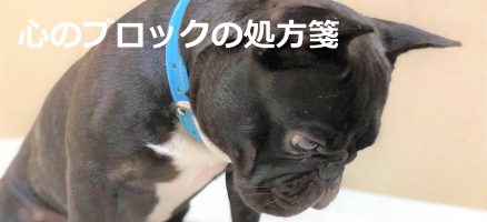 一貫できない…心のブロックへの処方箋