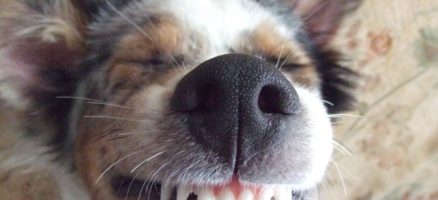 ☆青空トレーニング教室＆ゲーム大会☆