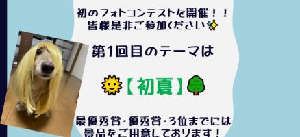 第１回フォトコンテスト　結果発表！！