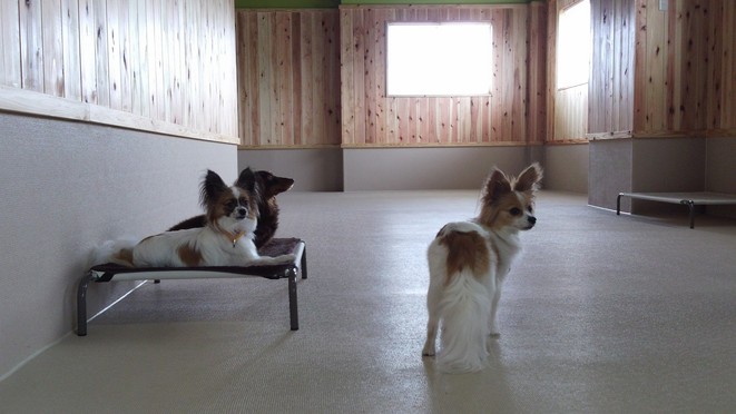 デイケアについて