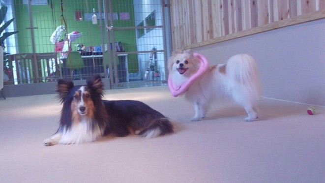 今日も暑い・・・・・