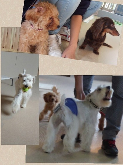 昨日アップ出来てなかったブログ・・・ごめんなさいm(__)m