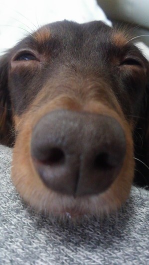 ↓ジョニー先生の長～～～～～～～～～～～いお話。