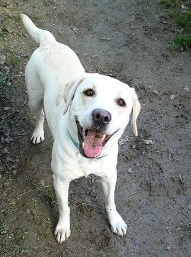 褒めるってどういう事？