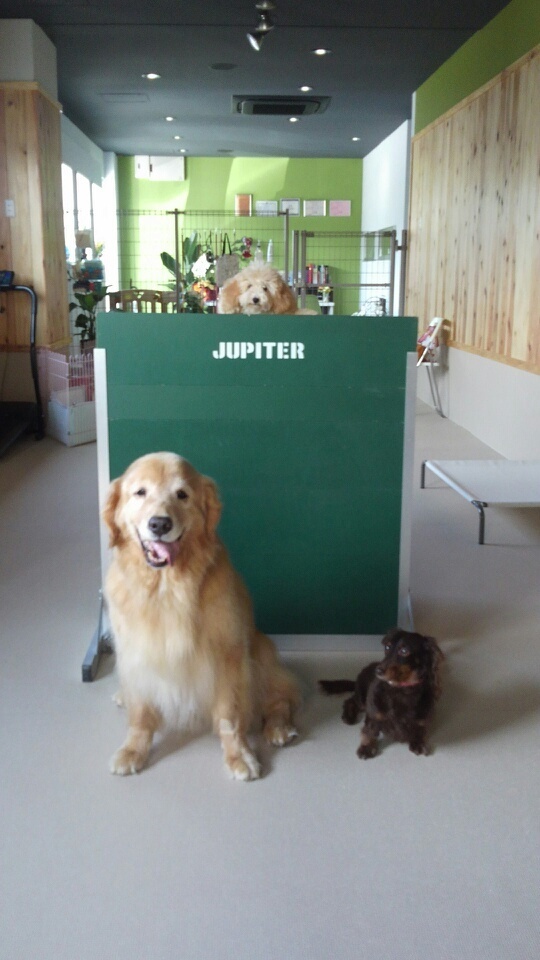 よーく見てね♪