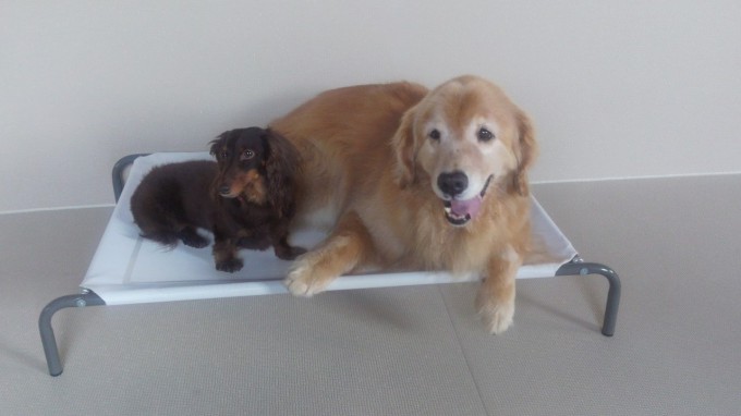 ある日の昼下がり…