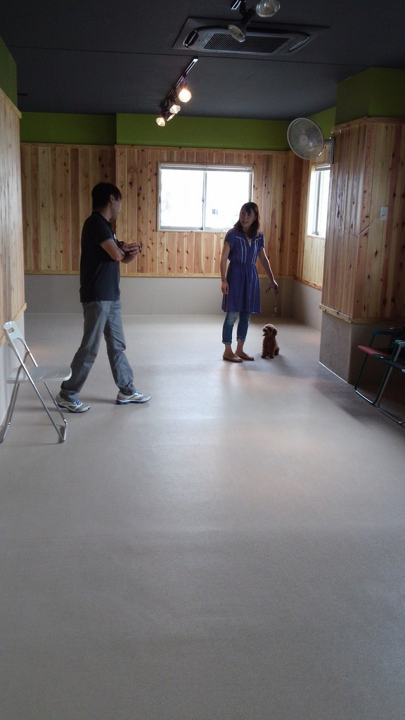 Tプードル ルルちゃん