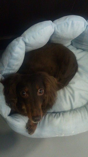 あと、少しで閉店時間・・・