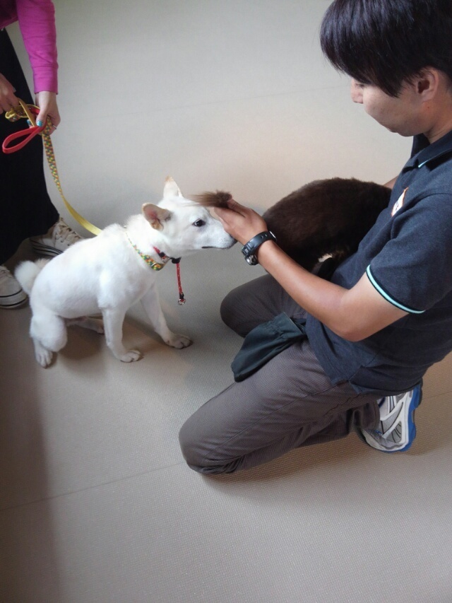 パピークラス挨拶の儀