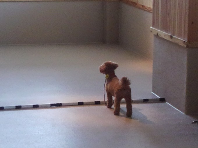 メンタルキャパシティ