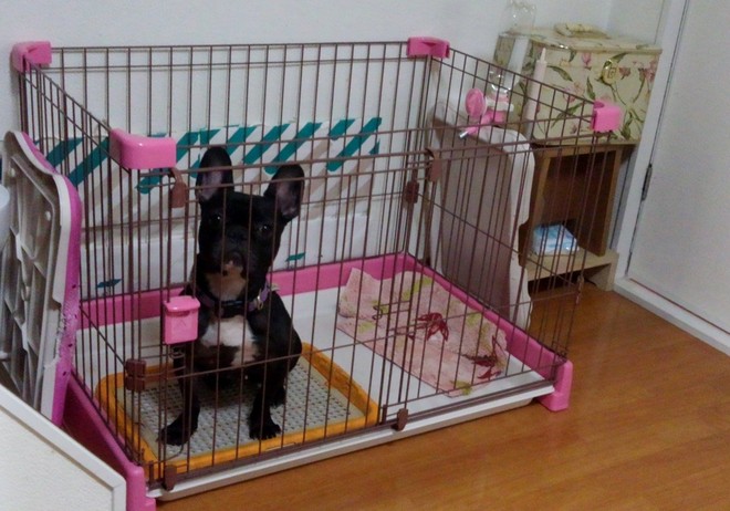 出張トレーニング（1）