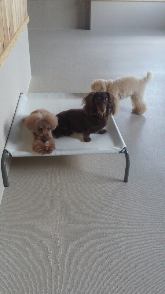 ベットの上・・・