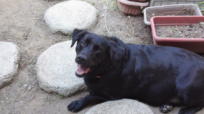 出張トレーニング（2）